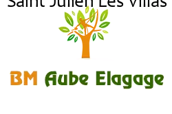 elagage-bm-elagueur