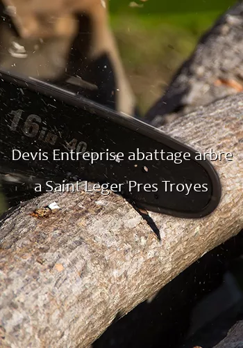 Devis Entreprise abattage arbre a Saint Leger Pres Troyes