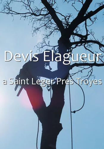 Devis Elagueur a Saint Leger Pres Troyes