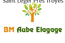 elagage-bm-elagueur