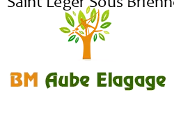 elagage-bm-elagueur