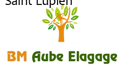 elagage-bm-elagueur