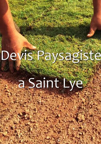 Devis Paysagiste a Saint Lye