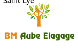 elagage-bm-elagueur