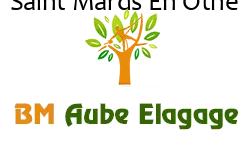 elagage-bm-elagueur