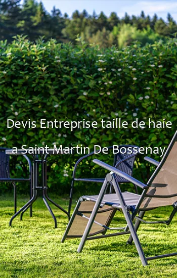 Devis Entreprise taille de haie a Saint Martin De Bossenay