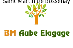 elagage-bm-elagueur