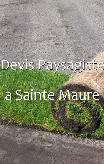 Devis Paysagiste a Sainte Maure