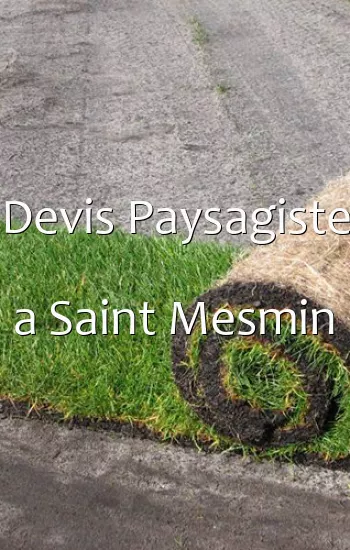 Devis Paysagiste a Saint Mesmin