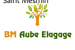 elagage-bm-elagueur