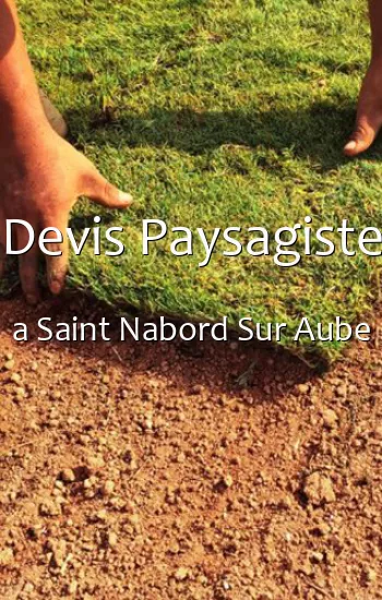 Devis Paysagiste a Saint Nabord Sur Aube