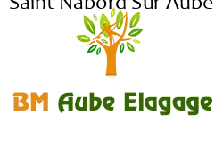 elagage-bm-elagueur