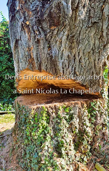 Devis Entreprise abattage arbre a Saint Nicolas La Chapelle