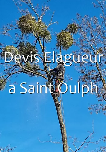 Devis Elagueur a Saint Oulph