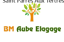 elagage-bm-elagueur