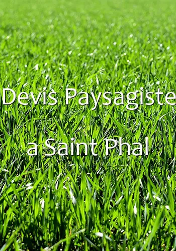 Devis Paysagiste a Saint Phal