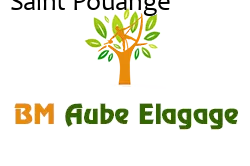 elagage-bm-elagueur