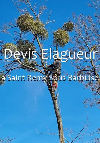 Devis Elagueur a Saint Remy Sous Barbuise