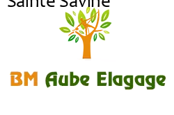 elagage-bm-elagueur