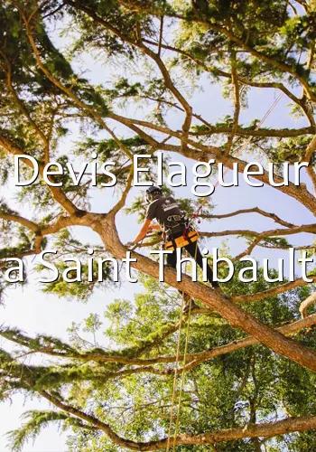 Devis Elagueur a Saint Thibault