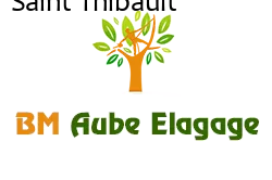 elagage-bm-elagueur