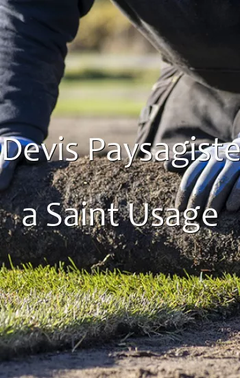 Devis Paysagiste a Saint Usage