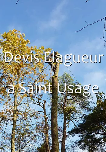 Devis Elagueur a Saint Usage