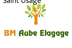 elagage-bm-elagueur