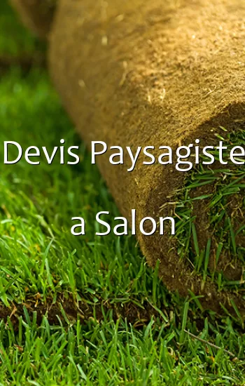 Devis Paysagiste a Salon