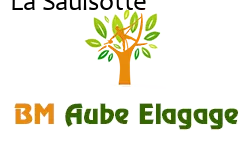 elagage-bm-elagueur