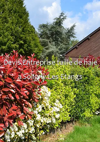 Devis Entreprise taille de haie a Soligny Les Etangs