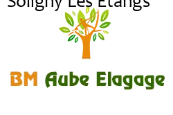 elagage-bm-elagueur