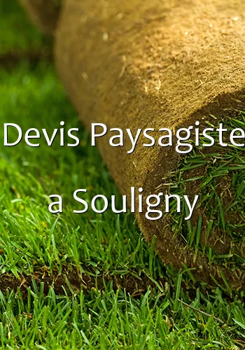 Devis Paysagiste a Souligny