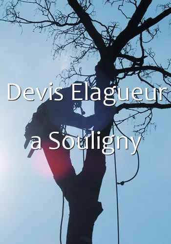 Devis Elagueur a Souligny