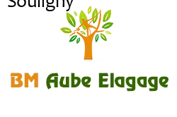 elagage-bm-elagueur