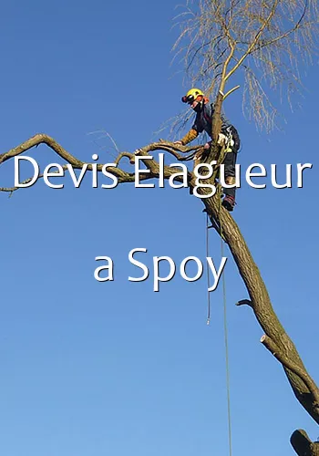 Devis Elagueur a Spoy