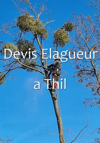 Devis Elagueur a Thil