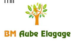 elagage-bm-elagueur