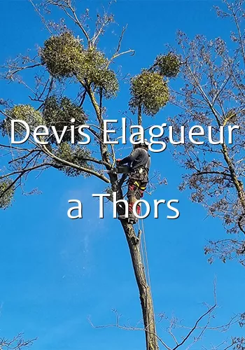 Devis Elagueur a Thors