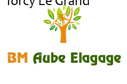 elagage-bm-elagueur