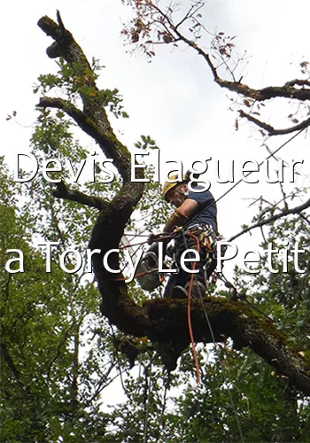 Devis Elagueur a Torcy Le Petit