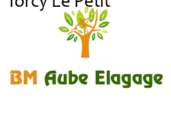 elagage-bm-elagueur