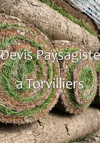 Devis Paysagiste a Torvilliers