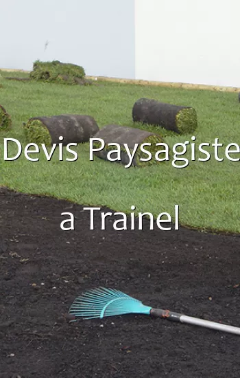 Devis Paysagiste a Trainel