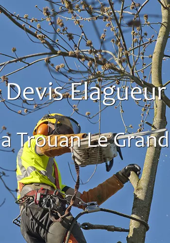 Devis Elagueur a Trouan Le Grand