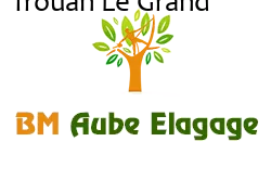 elagage-bm-elagueur