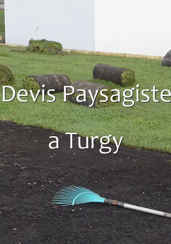 Devis Paysagiste a Turgy