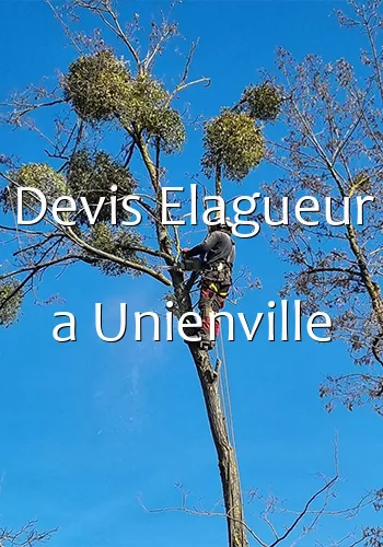 Devis Elagueur a Unienville