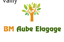 elagage-bm-elagueur