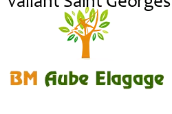 elagage-bm-elagueur